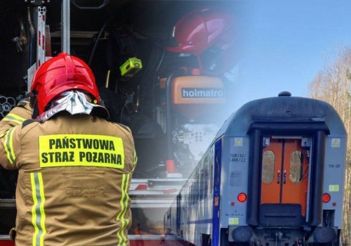 Pociąg zderzył się z żubrami. Na miejscu pracują służby, są utrudnienia