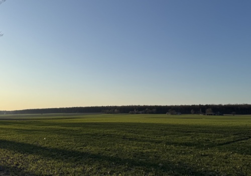 134 ha do dzierżawy. KOWR wystawia rzadką nieruchomość rolną w Wielkopolsce