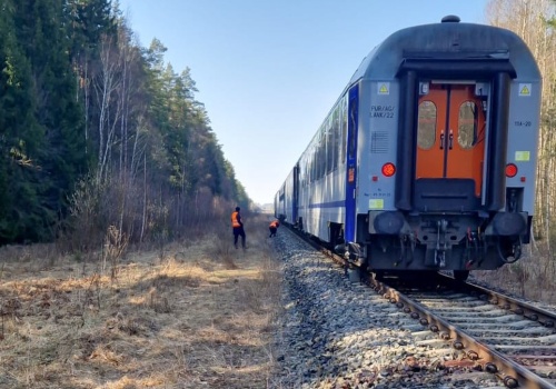 Na Podlasiu pociąg zderzył się z żubrami. Zwierzęta nie żyją