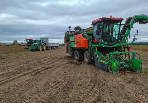 Spółdzielnia w Gronowicach. Oto jak 11 rolników na 450 ha wygrywa z rynkiem zbóż i rzepaku