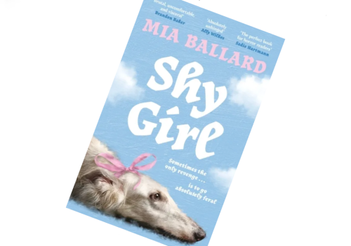 To pisała AI. Skandal w świecie książek i nagłe wycofanie bestsellera