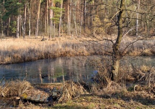 Dziś Światowy Dzień Wody. Polska żyje na „wodny kredyt”