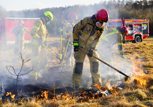 Pożary na terenach niezurbanizowanych. Powstał nowy program szkolenia