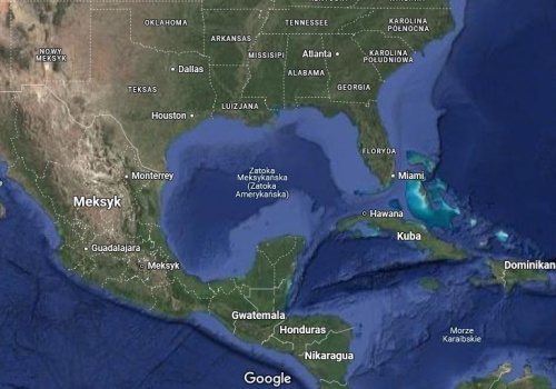 Wyciek ropy w Zatoce Meksykańskiej; martwe żółwie, delfiny i manaty