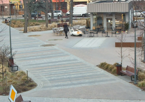 Awantura w Garwolinie. Zniszczona krowa i atak na policję