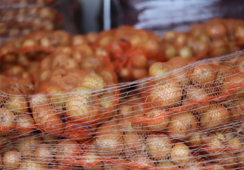 Import cebuli do Polski pod kontrolą jednego kraju. Kto dominuje na rynku?