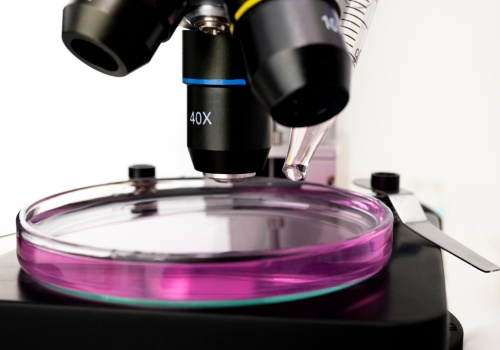 Gdy światło przestało wystarczać. Historia mikroskopu elektronowego