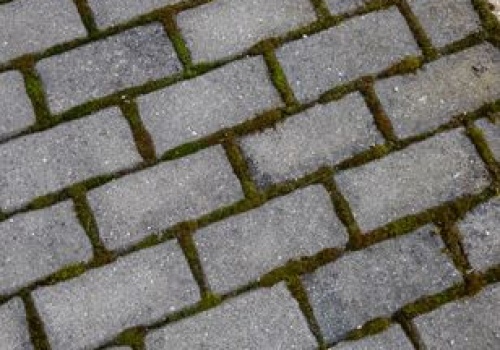 Wylej na kostkę. W całości 