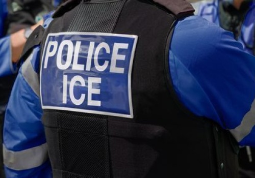 Trump chce wysłać agentów ICE na lotniska