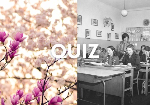 Wiosenny quiz w postaci dyktanda. Czy uda ci się pobić średnią 11/13?