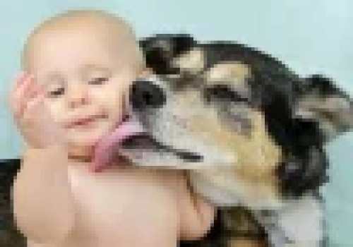 Pies zagryzł noworodka