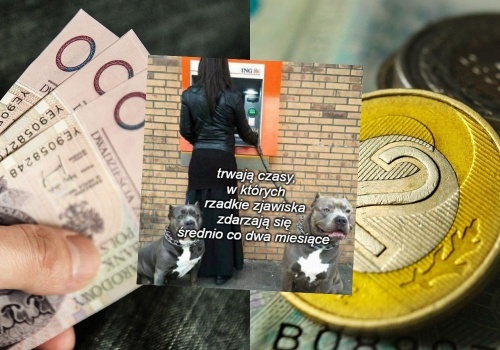 Badanie: niemal co drugi Polak traktuje gotówkę jako rozwiązanie awaryjne