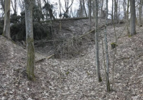 Zaginione miasto w środku puszczy. Polscy archeolodzy odkryli intrygujące miejsce