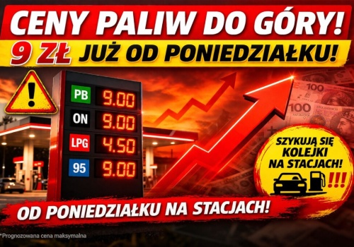 Dwa grzyby w… bak Donalda Tuska