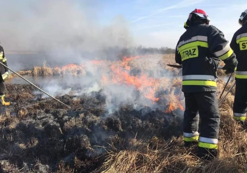 ARiMR już ukarała rolników. Przez jeden błąd tracą tysiące złotych