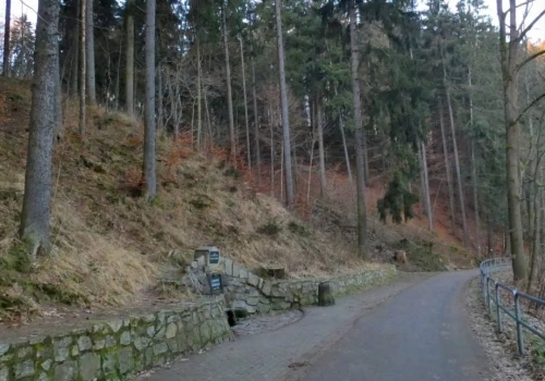 Czasowe zamknięcie ścieżki rowerowej z powodu wycinki drzew