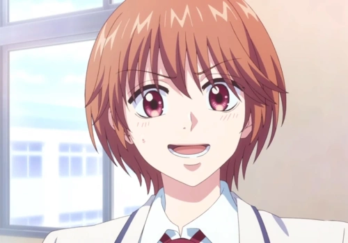 Hana-Kimi otrzyma kontynuację. Prace właśnie się rozpoczęły