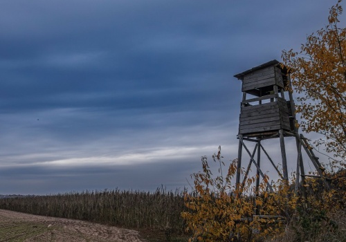 Śmiertelny wypadek na polowaniu. Sprawca został zatrzymany