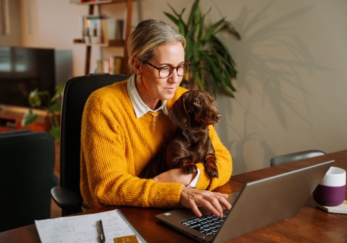Pies w centrum uwagi. Takie obowiązki nakłada na Szwedów Ustawa o Dobrostanie Zwierząt