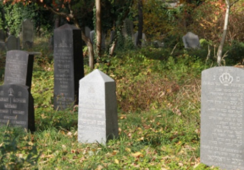 Projekt pawilonu z wystawą o Żydach oświęcimskich - jesienią