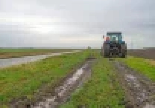 Koniec ze skargami na zapachy na wsi. Ekspertka krytykuje propozycje ministerstw