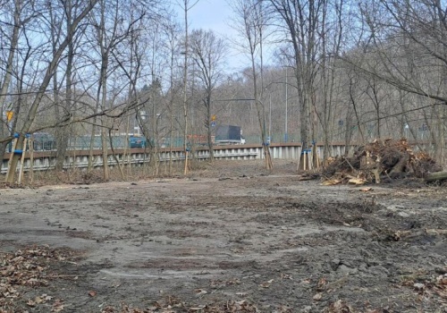 Zniknie luka komunikacyjna do Bonarki. Budowa już trwa