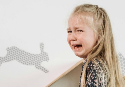 Współcześni rodzice wiedzą więcej o wychowaniu, mniej o cierpliwości. Widać to w sklepach