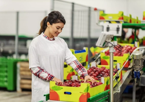 Właściciel Makro optymalizuje logistykę produktów świeżych dzięki AI