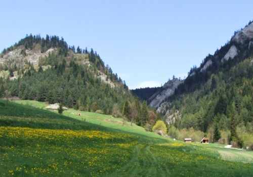 Najpiękniejsza trasa w Pieninach. Zgodnie z legendą ukryto tu skarb
