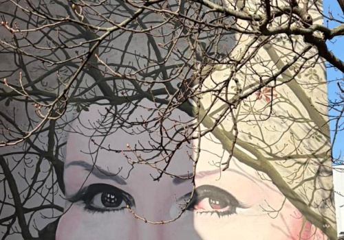 Nieznany sprawca zniszczył mural Kory na Nowym Świecie. Rozmawialiśmy z jej mężem. 