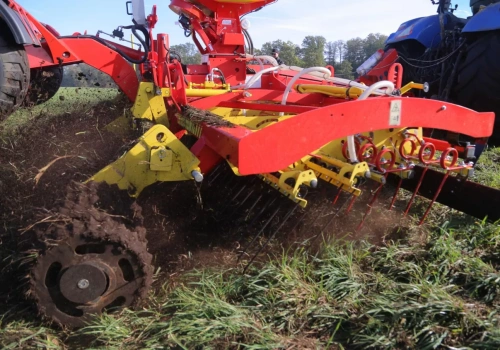 Jak dbać o czystość paszy i zdrowie zwierząt? Poradnik dla gospodarstw rolnych