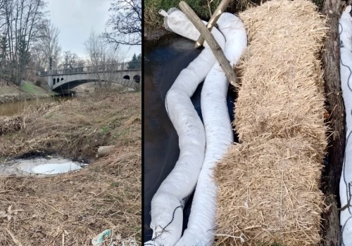 Zanieczyszczenie Czarnej Wody w Legnicy i Baczyny w Lubinie