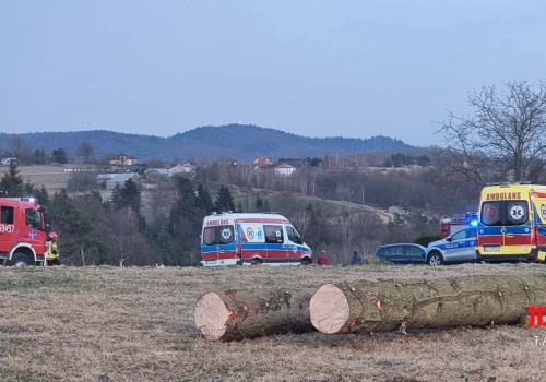 Wypadek przy pracach leśnych. Poszkodowany 10-letni chłopiec