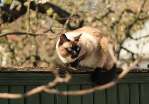 Ciepły wtorek w Łódzkiem. Pogoda na 24 marca