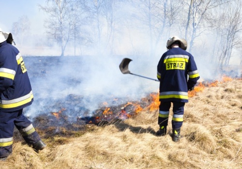 Wypalanie traw najgłupszym mitem wiosny. I najdroższym, bo kara sięga 30 tys. zł