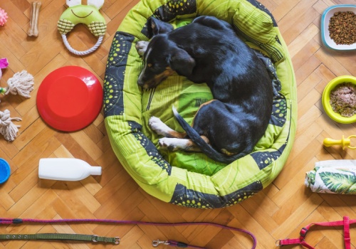 Rośnie branża PetCare. W polskich galeriach rządzą te marki