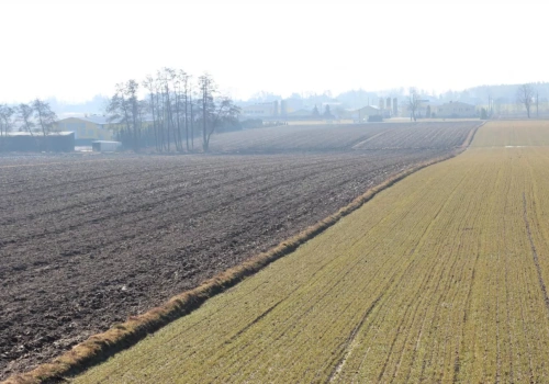 Mała reforma rolna na Pomorzu Zachodnim. Kto naprawdę zyskuje na państwowej ziemi?