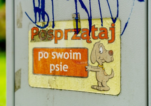 Śnieg stopniał, wstyd pozostał (napisali do nas)