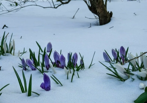 Śnieżne monstrum? Taka może być Wielkanoc. Nowa prognoza dla Polski