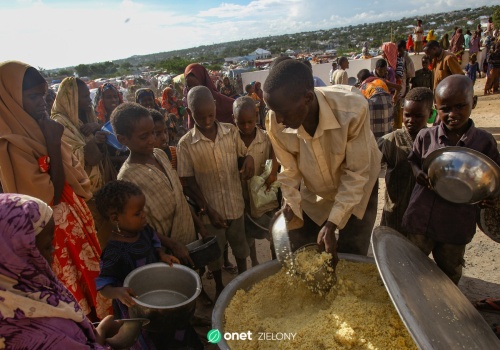 Kryzys żywnościowy przyspiesza. Biedniejsze kraje zapłacą najwyższą cenę za ocieplenie klimatu