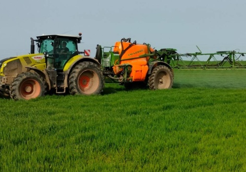 Opryski w czasie przymrozków. Co może stać się roślinom?