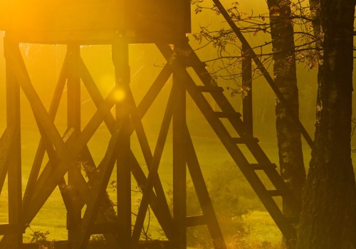 Myśliwy, który śmiertelnie postrzelił swojego kolegę, spożywał wcześniej alkohol