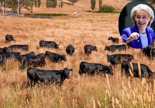 Umowa UE–Australia podpisana. Nowa konkurencja dla wołowiny na rynku UE