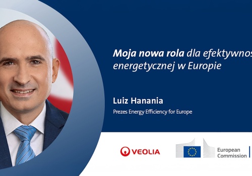 Luiz Hanania prezesem Energy Efficiency for Europe