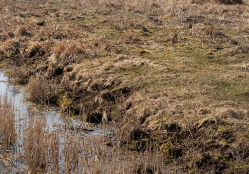 Zaginęła przed świętami po kłótni z partnerem. Właśnie odnaleziono jej zwłoki