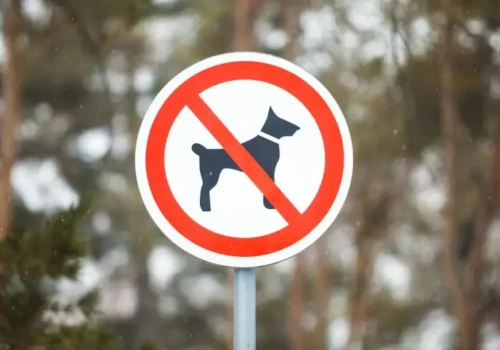 Psy zagrożeniem dla Kampinoskiego Parku Narodowego