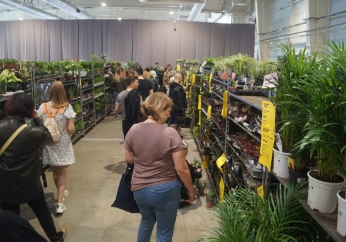 Do Lublina powraca Festiwal Roślin. Królować będą kwiaty doniczkowe, ogrodowe oraz balkonowe