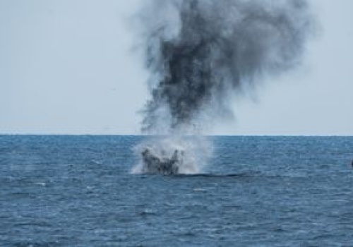 Wywiad USA: Iran rozmieścił miny w cieśninie Ormuz