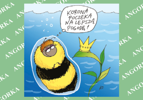 Trzmiele w ekstremalnych warunkach. Posiadają niezwykłą umiejętność