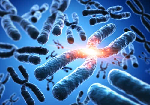 Szybka diagnoza skutków promieniowania. Jak działa program MaksChroms?